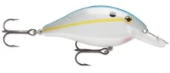 Luhr-Jensen Speed Trap Medium Diving Crankbait -Deals US Rods And Reels Store 12603279867959