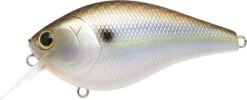 Lucky Craft LC 2.5 Shallow Squarebill Crankbait -Deals US Rods And Reels Store 12607085903927