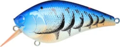 Lucky Craft LC 2.5 Shallow Squarebill Crankbait -Deals US Rods And Reels Store 12607085969463