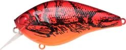 Lucky Craft LC 2.5 Shallow Squarebill Crankbait -Deals US Rods And Reels Store 12607086100535