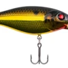 Berkley Bad Shad Medium Diving Crankbait -Deals US Rods And Reels Store 13945542475831