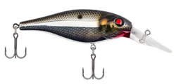 Berkley Bad Shad Medium Diving Crankbait -Deals US Rods And Reels Store 13945542541367