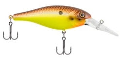 Berkley Bad Shad Medium Diving Crankbait -Deals US Rods And Reels Store 13945542737975