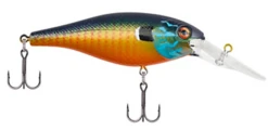 Berkley Bad Shad Medium Diving Crankbait -Deals US Rods And Reels Store 13945542934583