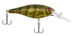 Berkley Bad Shad Medium Diving Crankbait -Deals US Rods And Reels Store 13945543000119
