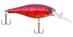 Berkley Bad Shad Medium Diving Crankbait -Deals US Rods And Reels Store 13945543131191