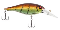 Berkley Bad Shad Medium Diving Crankbait -Deals US Rods And Reels Store 13945543262263