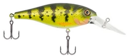 Berkley Bad Shad Medium Diving Crankbait -Deals US Rods And Reels Store 13945543327799