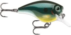 Rapala BX Big Brat 2 3/4 Inch Square Bill Crankbait -Deals US Rods And Reels Store 31321538429017