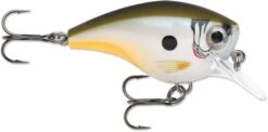 Rapala BX Big Brat 2 3/4 Inch Square Bill Crankbait -Deals US Rods And Reels Store 31321538461785