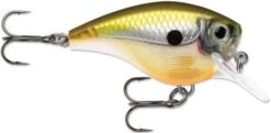 Rapala BX Big Brat 2 3/4 Inch Square Bill Crankbait -Deals US Rods And Reels Store 31321538560089