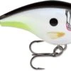Rapala BX Big Brat 2 3/4 Inch Square Bill Crankbait -Deals US Rods And Reels Store 31321538625625