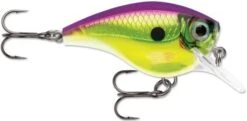 Rapala BX Big Brat 2 3/4 Inch Square Bill Crankbait -Deals US Rods And Reels Store 31321538723929