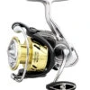 Daiwa Procyon LT Spinning Reels -Deals US Rods And Reels Store 31403870912601