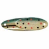 Acme Kastmaster Spoon 1/4 Oz. -Deals US Rods And Reels Store 31456069156953