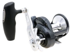 Shimano Torium Star Drag Conventional Reels -Deals US Rods And Reels Store 39267241721945