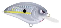 SPRO Little John 50 Type R Shallow Diving Crankbait