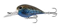 13 Fishing Gordito 2 Inch Medium Diving Crankbait -Deals US Rods And Reels Store 39332617879641