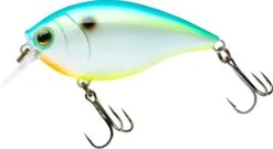 Hardcore Crank SR 65F Shallow Squarebill Crankbait -Deals US Rods And Reels Store 39376003301465