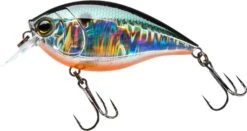 Hardcore Crank SR 65F Shallow Squarebill Crankbait -Deals US Rods And Reels Store 39376003465305