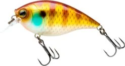 Hardcore Crank SR 65F Shallow Squarebill Crankbait -Deals US Rods And Reels Store 39376003530841