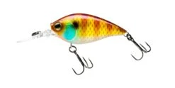 Hardcore Crank MR 60F Medium Crankbait -Deals US Rods And Reels Store 39376023060569