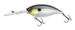 Hardcore Bullet Crank 100F 7+ Extra Deep Crankbait -Deals US Rods And Reels Store 39406623457369