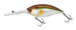 Hardcore Bullet Crank 100F 7+ Extra Deep Crankbait -Deals US Rods And Reels Store 39406623621209