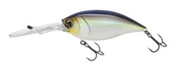 Hardcore Bullet Crank 100F 7+ Extra Deep Crankbait -Deals US Rods And Reels Store 39406623686745