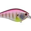 Lucky Craft SKT 110 Mag MR Deep Diving Squarebill Crankbait -Deals US Rods And Reels Store 39626400006233