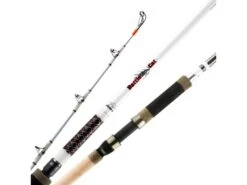 Okuma Battle Cat Catfish Spinning Rod 2-piece -Deals US Rods And Reels Store 39701683798105
