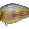Lucky Craft Fat BDS2 Shallow-Diving Crankbait -Deals US Rods And Reels Store 39730004721753