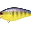 Lucky Craft Fat BDS3 Shallow-Diving Crankbait -Deals US Rods And Reels Store 39730007605337