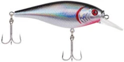 Berkley Flicker Shad Shallow Crankbait -Deals US Rods And Reels Store 39767092854873