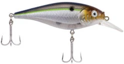 Berkley Flicker Shad Shallow Crankbait -Deals US Rods And Reels Store 39767093018713