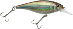 Berkley Flicker Shad Shallow Crankbait -Deals US Rods And Reels Store 39767093248089