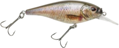 Berkley Flicker Shad Shallow Crankbait -Deals US Rods And Reels Store 39767093346393