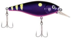 Berkley Flicker Shad Shallow Crankbait -Deals US Rods And Reels Store 39767093411929