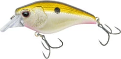 Nomad Design Atlas Squarebill Crankbait -Deals US Rods And Reels Store 39840471908441