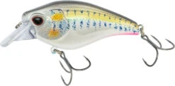 Nomad Design Atlas Squarebill Crankbait -Deals US Rods And Reels Store 39840471973977