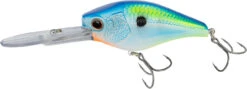 Nomad Design D-Trak Freshwater Extra Deep Diving Crankbait -Deals US Rods And Reels Store 39840486293593