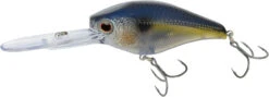 Nomad Design D-Trak Freshwater Extra Deep Diving Crankbait -Deals US Rods And Reels Store 39840486424665