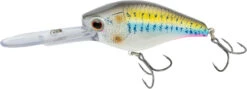 Nomad Design D-Trak Freshwater Extra Deep Diving Crankbait -Deals US Rods And Reels Store 39840486686809