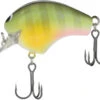 Shimano Macbeth 50F Hybrid Square Bill Crankbait 1 Shimano Macbeth 50F Hybrid Square Bill Crankbait -Deals US Rods And Reels Store 40094938038361