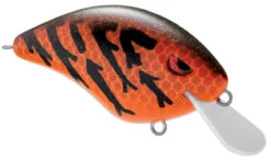 SPRO Speed Demon 55 Crankbait -Deals US Rods And Reels Store 40302758133849