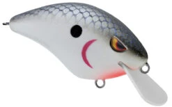 SPRO Speed Demon 55 Crankbait -Deals US Rods And Reels Store 40302758264921