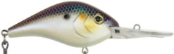 Berkley Dredger Deep Diving Crankbait Deeper Diving Models 31 Berkley Dredger Deep Diving Crankbait Deeper Diving Models -Deals US Rods And Reels Store 40325002952793