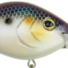 Berkley Dredger Deep Diving Crankbait Deeper Diving Models -Deals US Rods And Reels Store 40325003018329