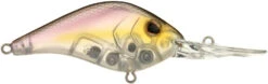 Berkley Dredger Deep Diving Crankbait Deeper Diving Models 39 Berkley Dredger Deep Diving Crankbait Deeper Diving Models -Deals US Rods And Reels Store 40325003247705