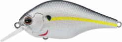 Evergreen International ZR-4 Zeruch Crankbait 16 Evergreen International ZR-4 Zeruch Crankbait -Deals US Rods And Reels Store 40378005454937